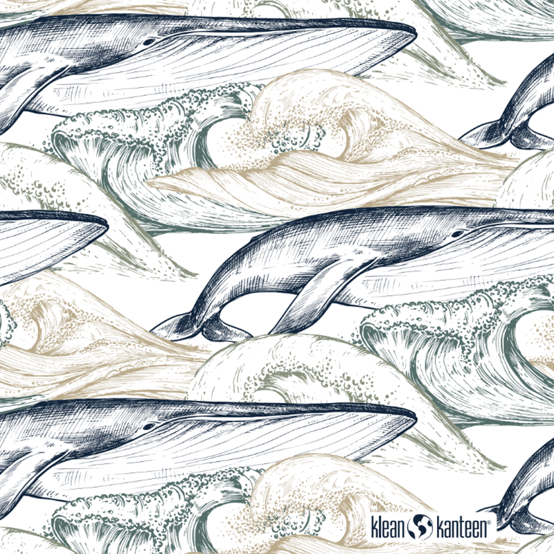 20oz-tkwide-with-twist-cap-ocean-day-w2 20oz_tkwide_bottle_seasonal_ocean_day_whale_artwork_square.png