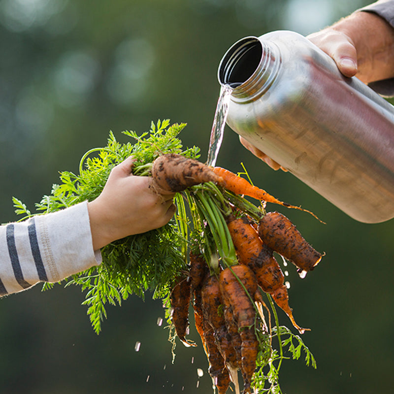 64oz-wide-with-loop-cap-n2 64oz_wide_mouth_bottle_carrots_rinse_square.jpg