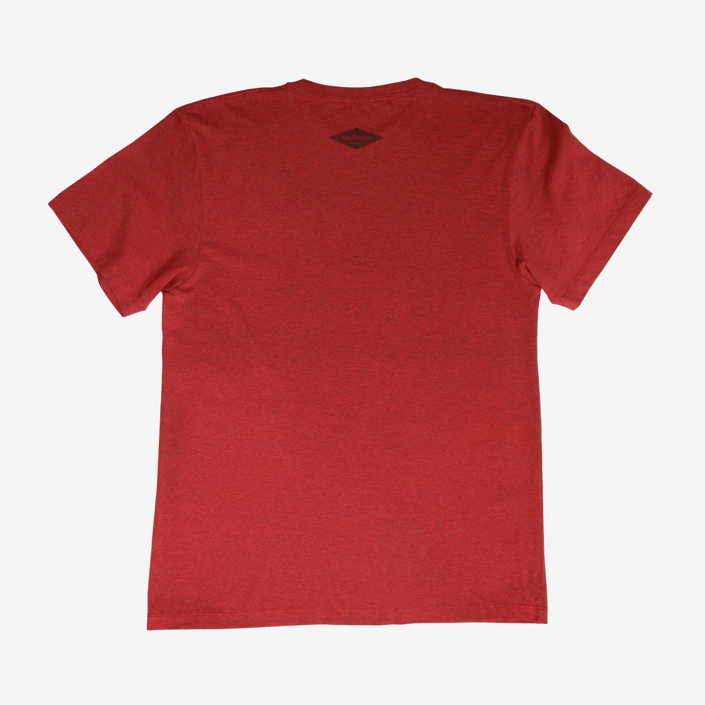 backyard-t-shirt-m1 Shirt_Mtn_Back.jpg